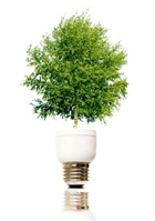 green_bulb